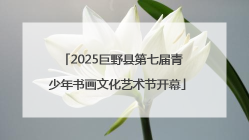 2025巨野县第七届青少年书画文化艺术节开幕