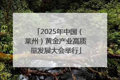 2025年中国（莱州）黄金产业高质量发展大会举行