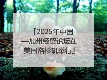 2025年中国—加州经贸论坛在美国洛杉矶举行