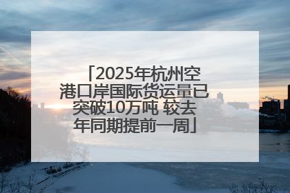 2025年杭州空港口岸国际货运量已突破10万吨 较去年同期提前一周