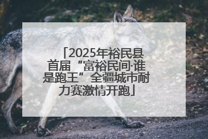 2025年裕民县首届“富裕民间·谁是跑王”全疆城市耐力赛激情开跑