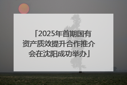 2025年首期国有资产质效提升合作推介会在沈阳成功举办