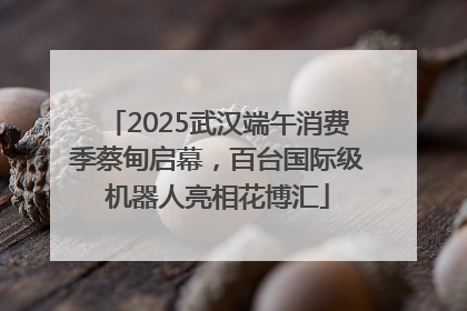 2025武汉端午消费季蔡甸启幕，百台国际级机器人亮相花博汇