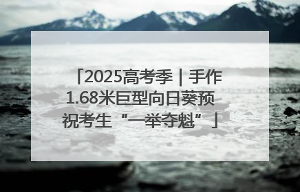 2025高考季｜手作1.68米巨型向日葵预祝考生“一举夺魁”