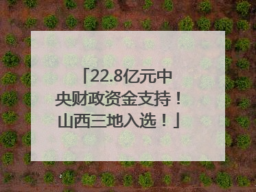 22.8亿元中央财政资金支持！山西三地入选！