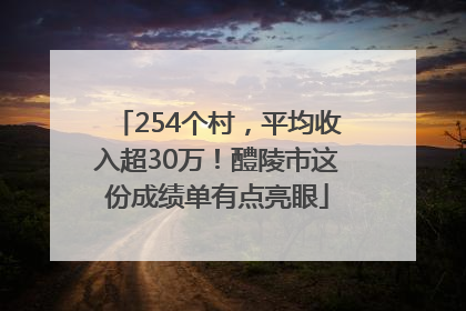 254个村，平均收入超30万！醴陵市这份成绩单有点亮眼