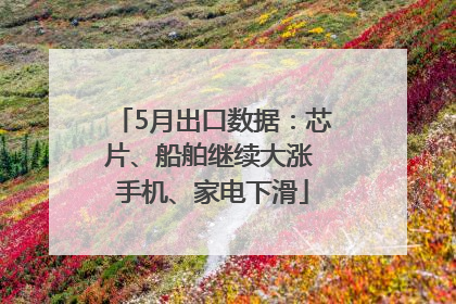 5月出口数据：芯片、船舶继续大涨 手机、家电下滑