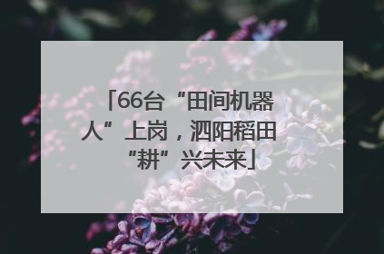 66台“田间机器人”上岗，泗阳稻田“耕”兴未来