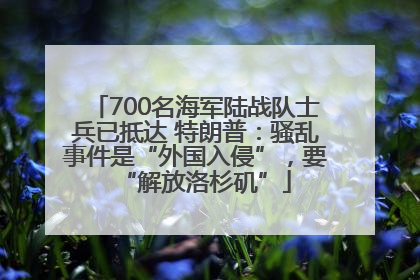700名海军陆战队士兵已抵达 特朗普：骚乱事件是“外国入侵”，要“解放洛杉矶”