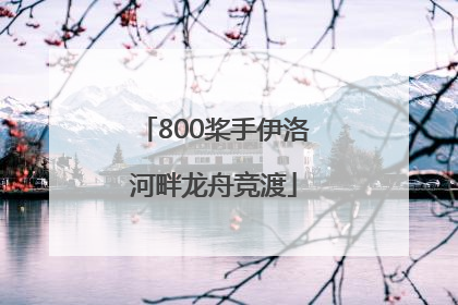 800桨手伊洛河畔龙舟竞渡