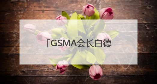 GSMA会长白德伟：预计到2030年中国移动经济体量将达2万亿美元