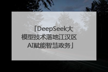 DeepSeek大模型技术落地江汉区 AI赋能智慧政务