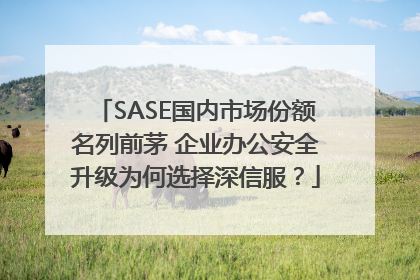 SASE国内市场份额名列前茅 企业办公安全升级为何选择深信服？