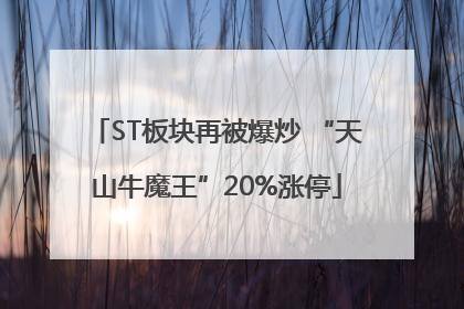 ST板块再被爆炒 “天山牛魔王”20%涨停